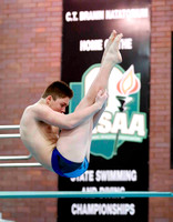 OHSAA State Diving 2016