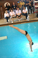 OHSAA Boys State Diving Championships 2011