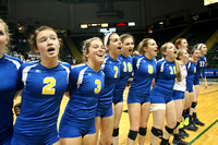 Div.I State Volleyball 2013