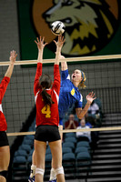 DIV I. State Volleyball Finals 2010