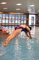 OHSAA Girls State Diving Championships 2011