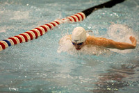 OHSAA Boys State Swimming Championships 2011