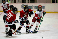 2006 Hockey-Blackhawks v. Red Wings