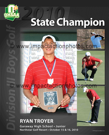 troyer_poster_16x20